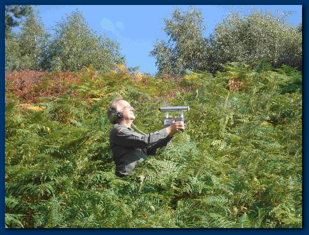 600x449 pixels (217K)